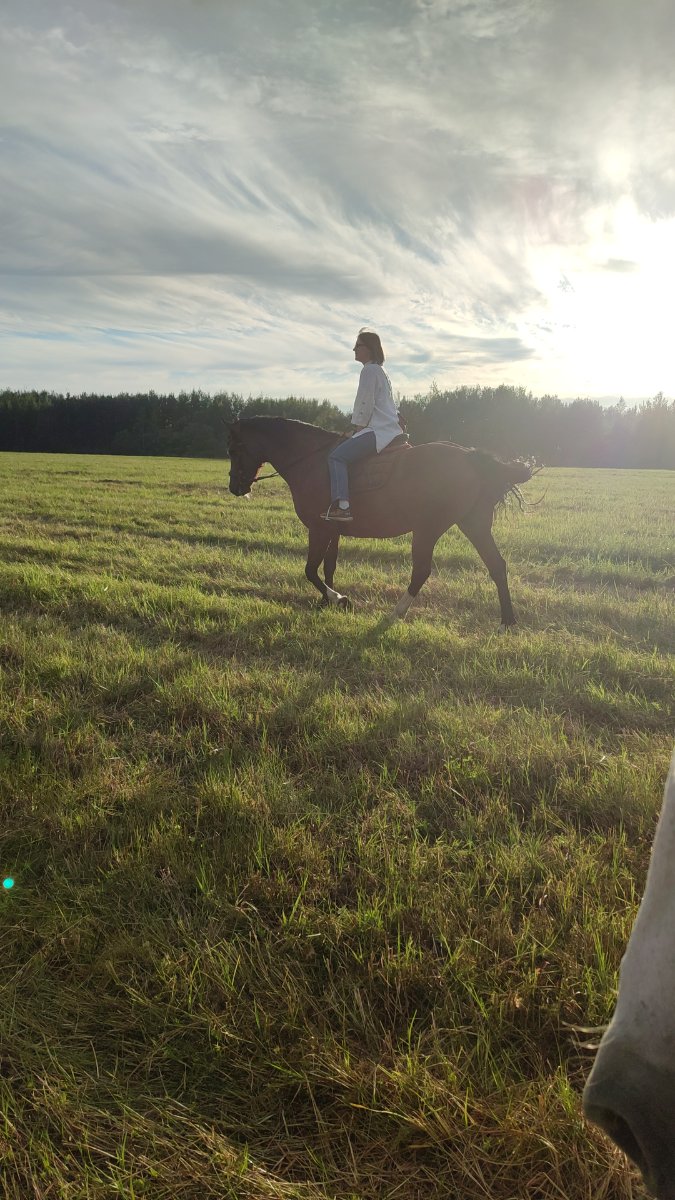 IMG-20250805-WA0030.jpeg