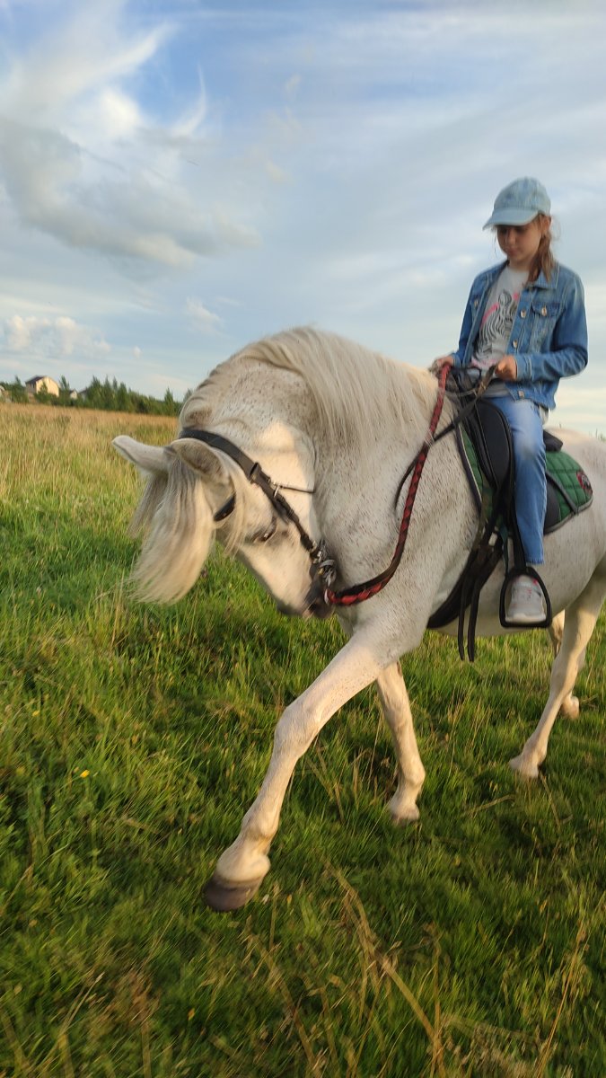 IMG-20250805-WA0063.jpeg