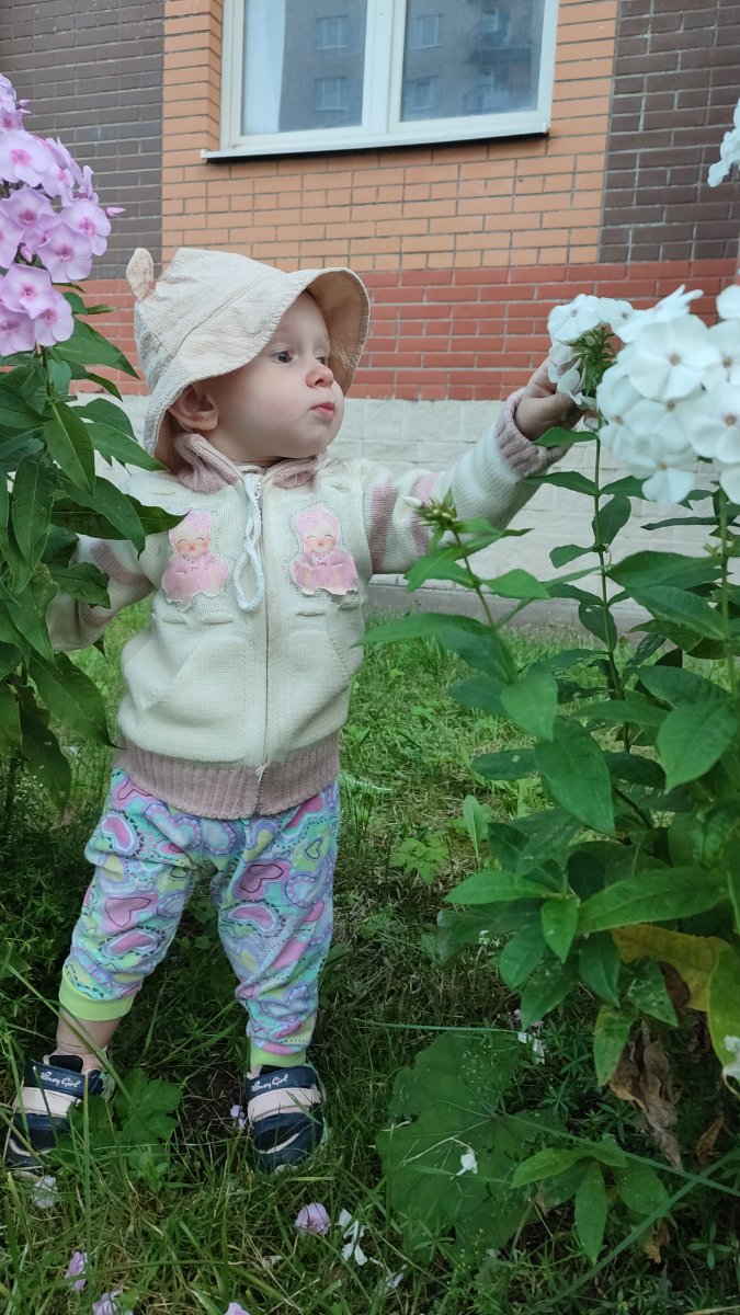 IMG-20250812-WA0114.jpeg