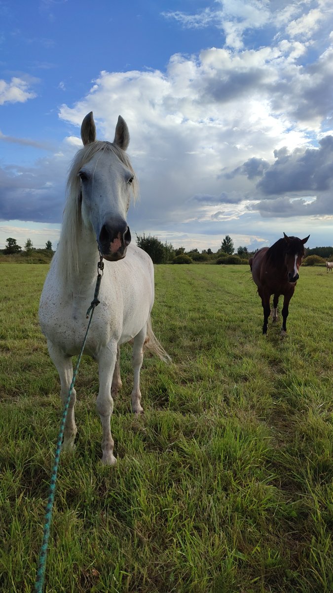 IMG-20250817-WA0000.jpeg