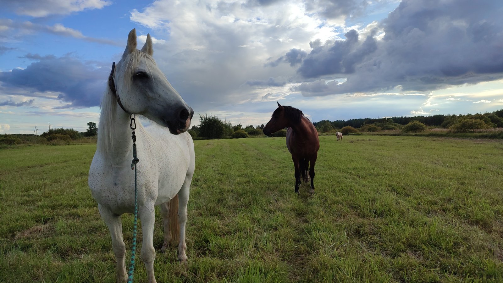 IMG-20250817-WA0002.jpeg