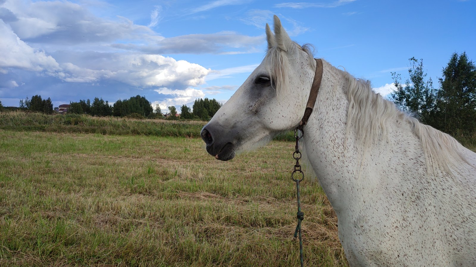 IMG-20250817-WA0008.jpeg