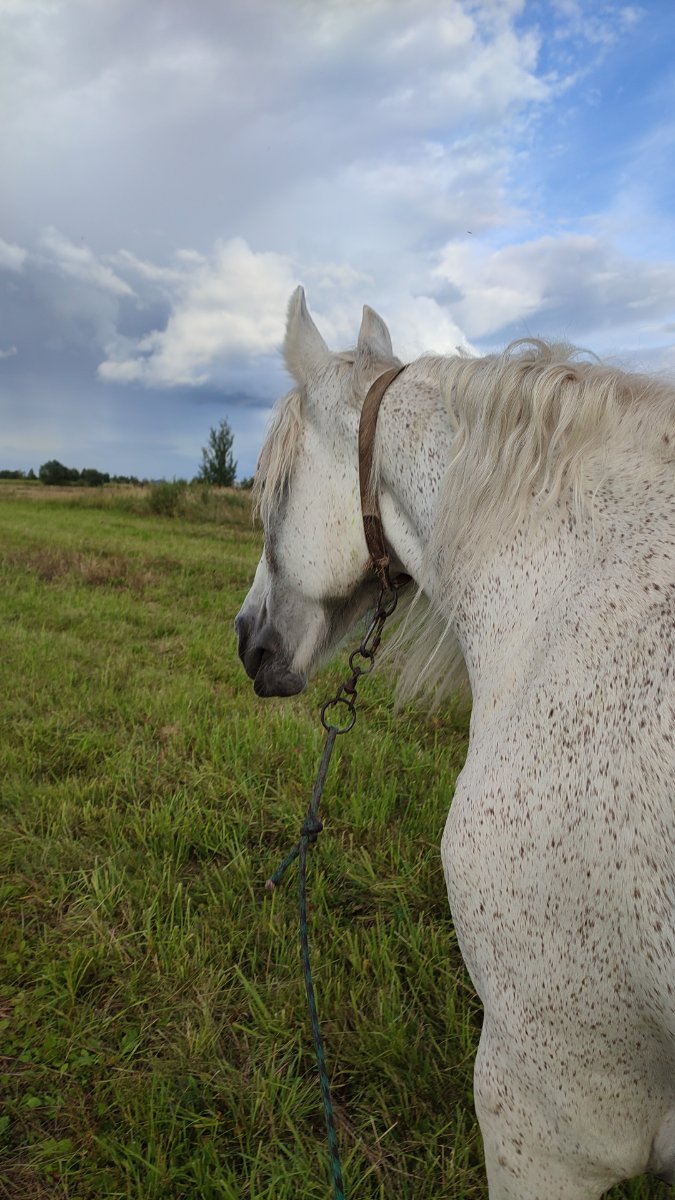 IMG-20250817-WA0010.jpeg
