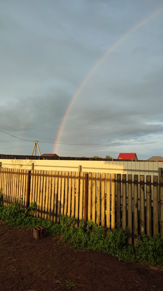 IMG-20250817-WA0124.jpeg