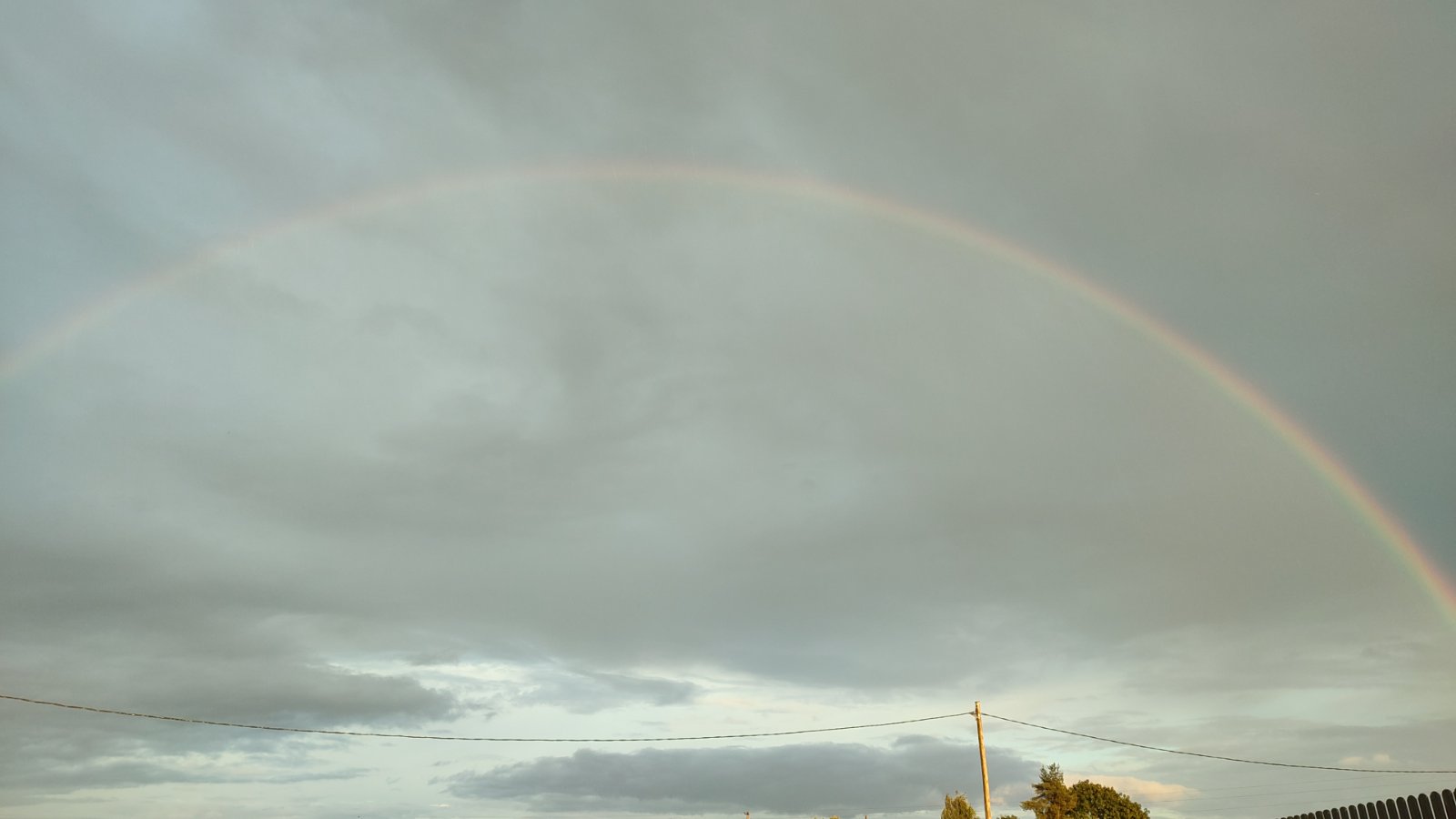 IMG-20250817-WA0126.jpeg