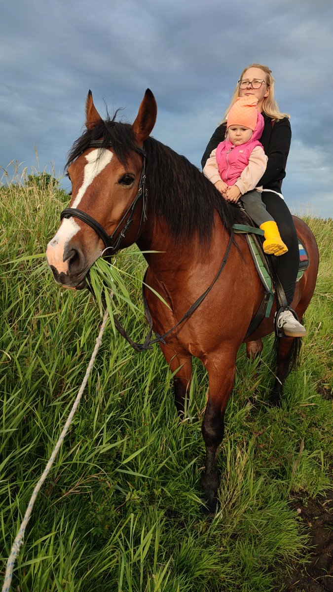 IMG-20250821-WA0020.jpeg