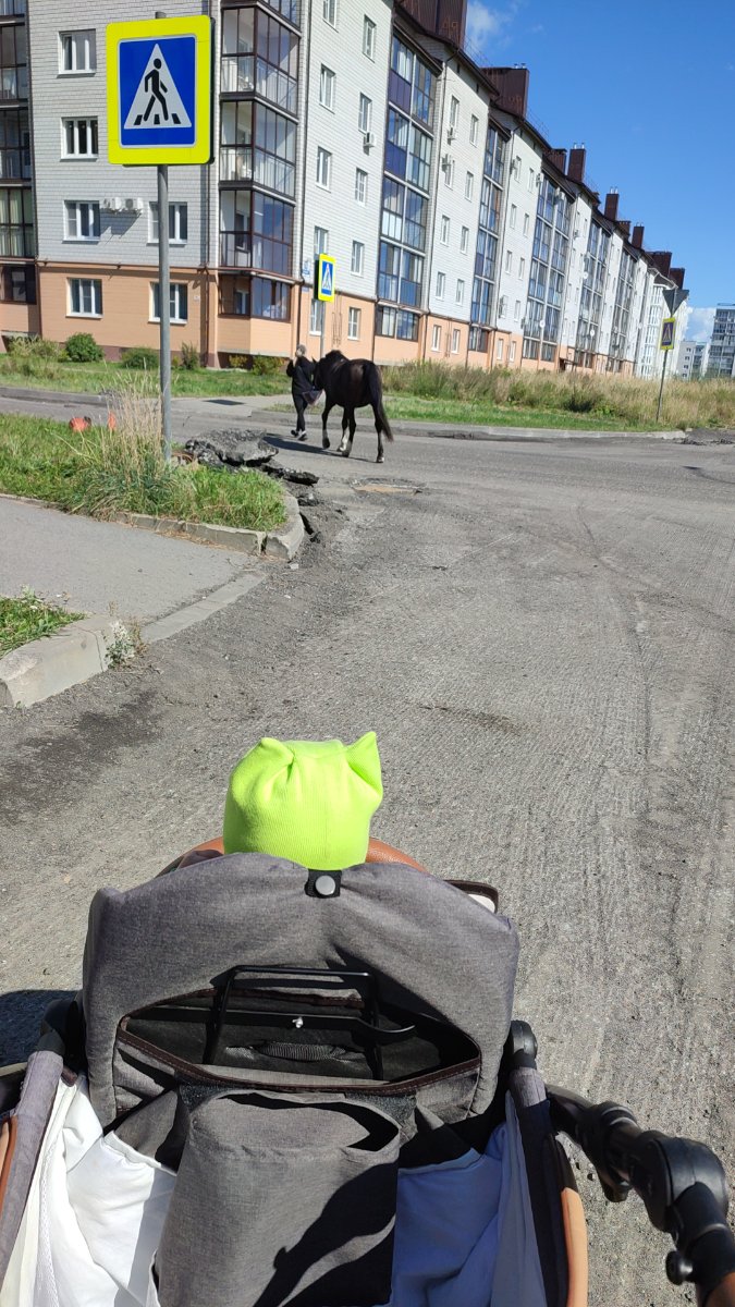 IMG-20250824-WA0014.jpeg