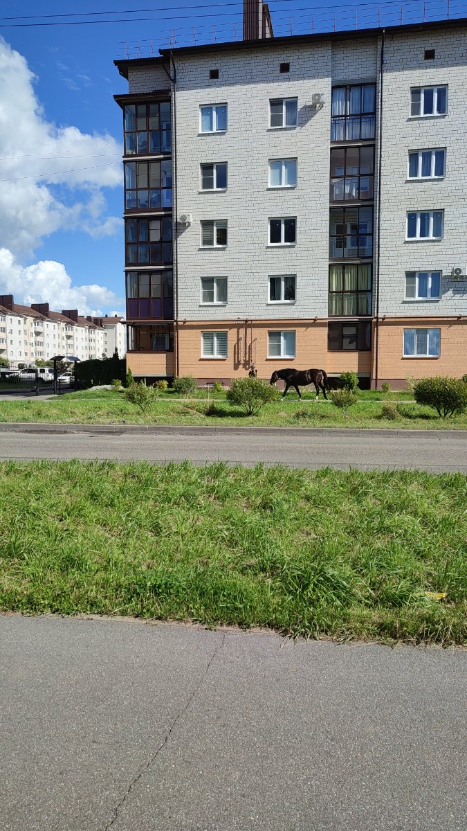 IMG-20250824-WA0016.jpeg