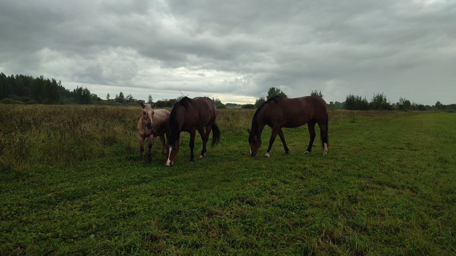 IMG-20250826-WA0018.jpeg