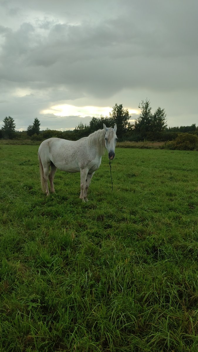 IMG-20250826-WA0034.jpeg