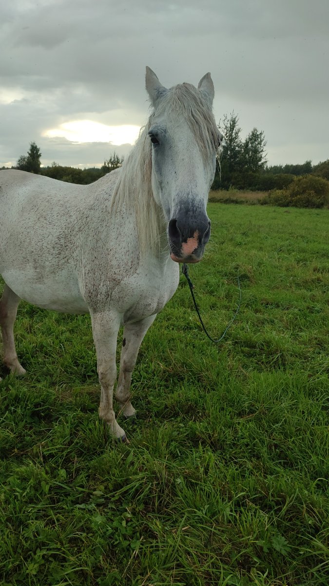 IMG-20250826-WA0038.jpeg