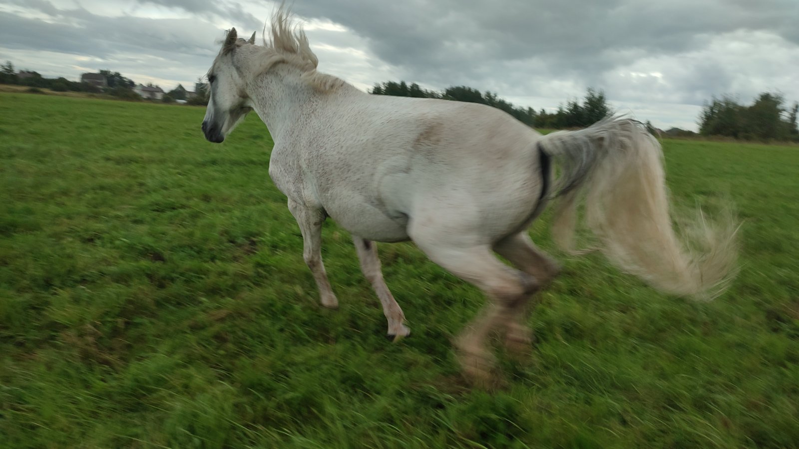 IMG-20250826-WA0040.jpeg