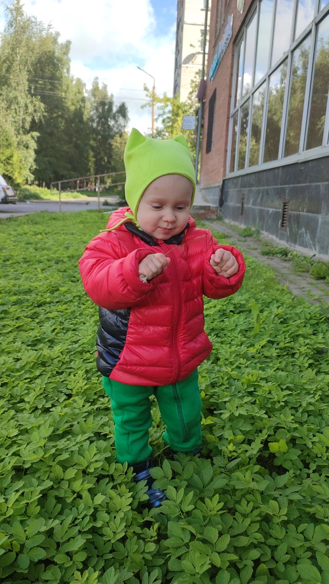 IMG-20250828-WA0008.jpeg