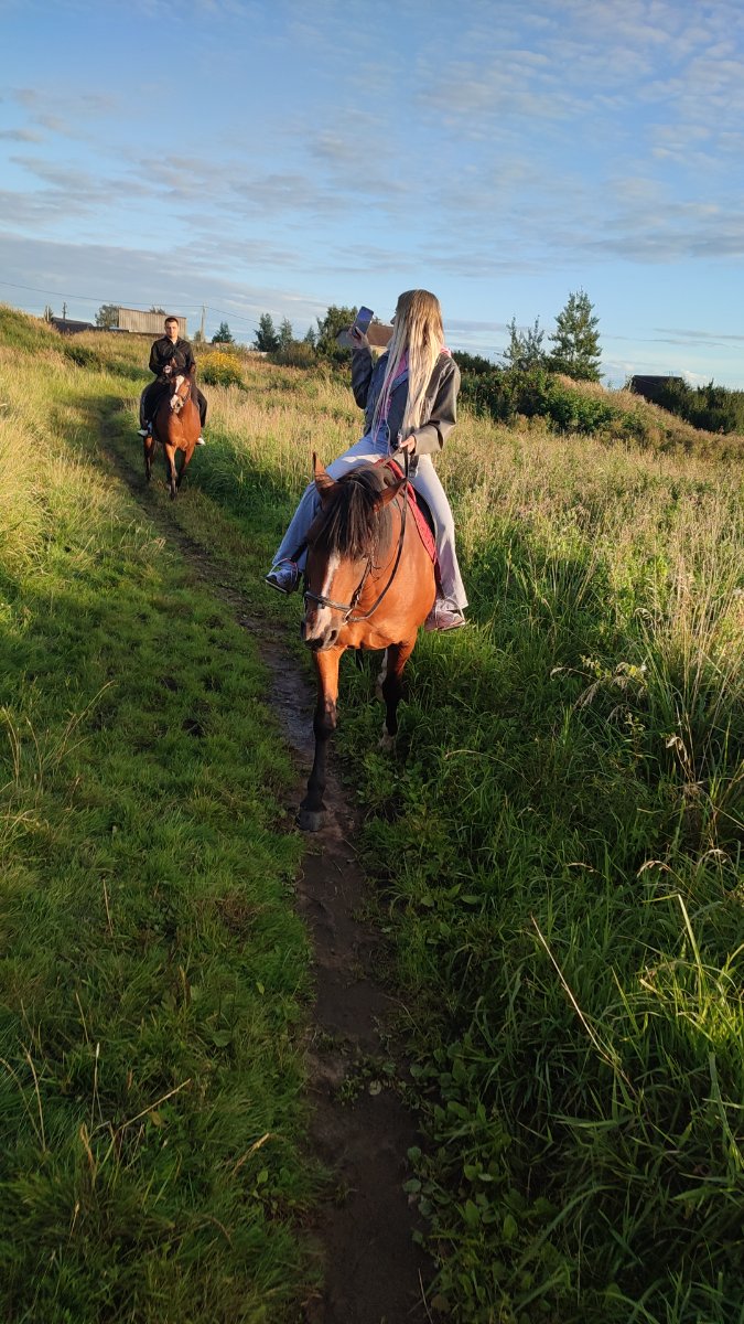 IMG-20250828-WA0044.jpeg