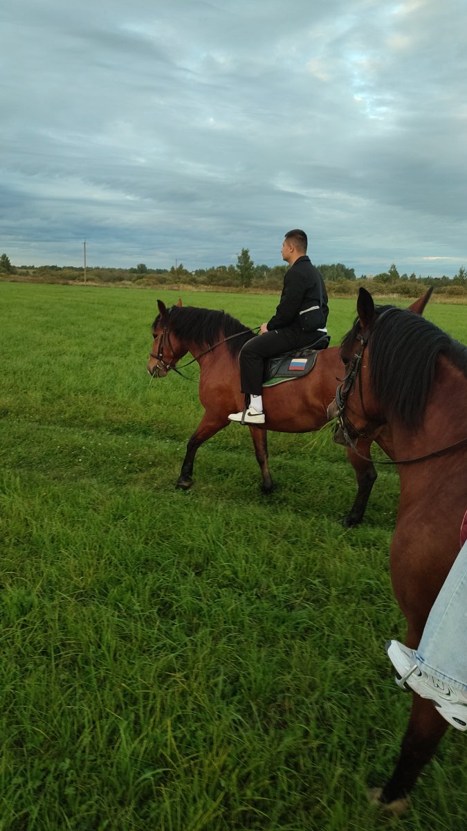 IMG-20250828-WA0098.jpeg