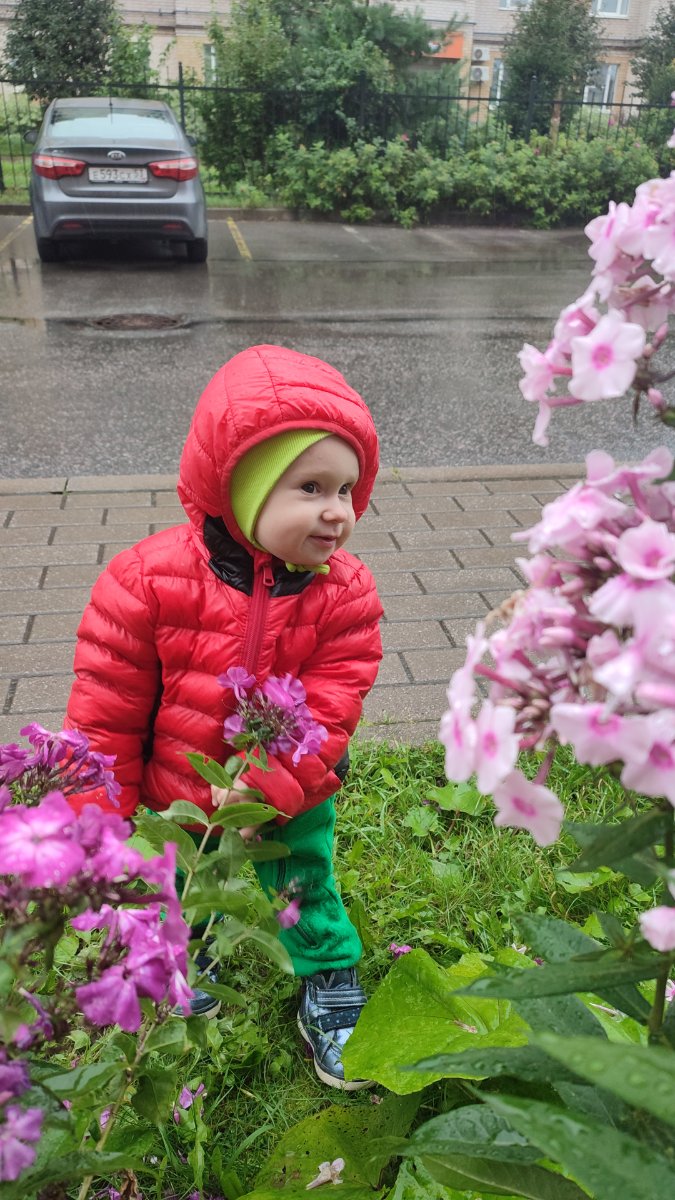 IMG-20250829-WA0001.jpeg