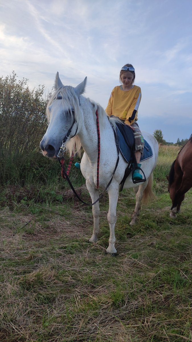 IMG-20250830-WA0073.jpeg