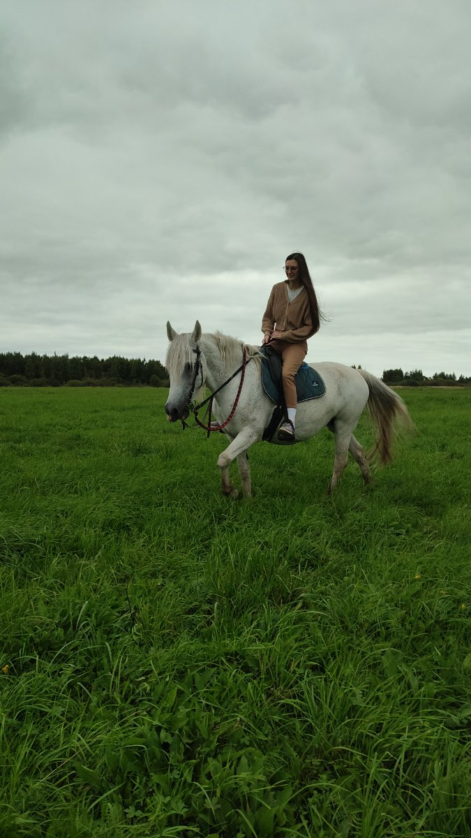 IMG-20250831-WA0038.jpeg