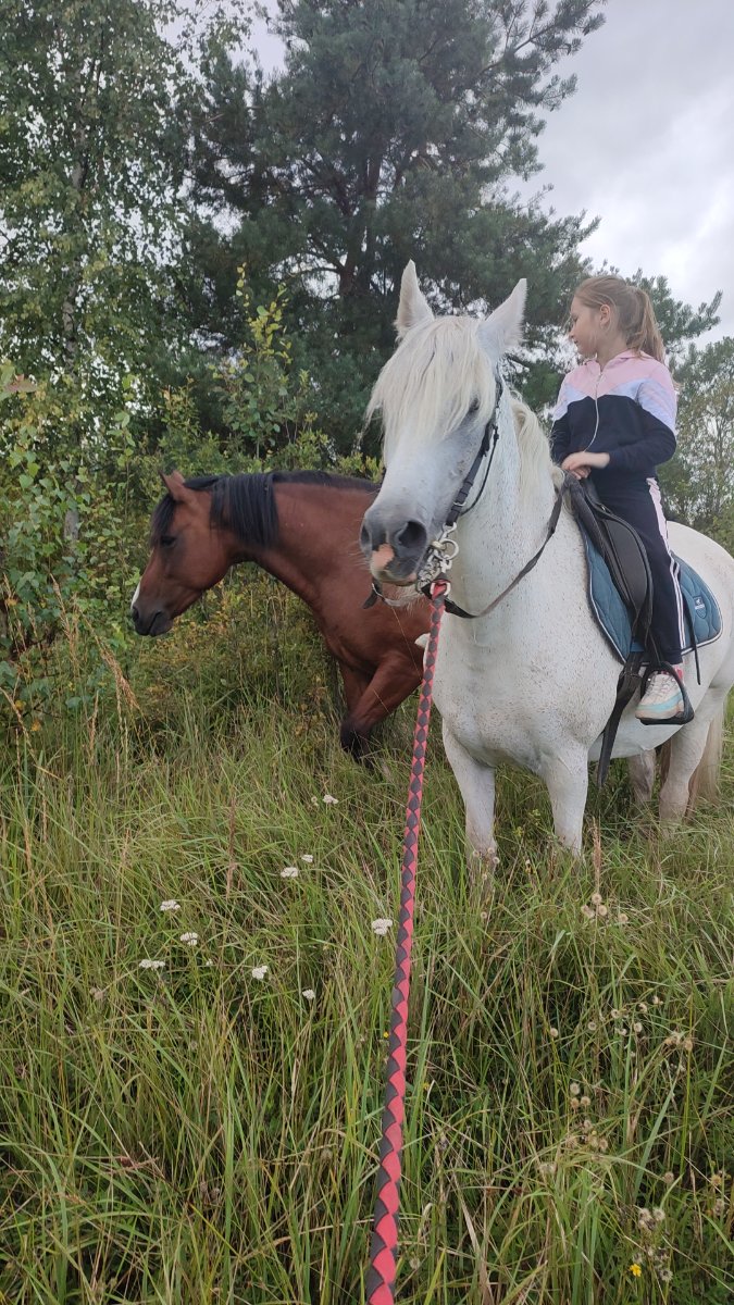 IMG-20250901-WA0119.jpeg
