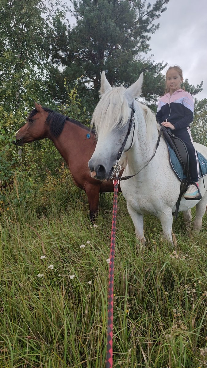 IMG-20250901-WA0121.jpeg