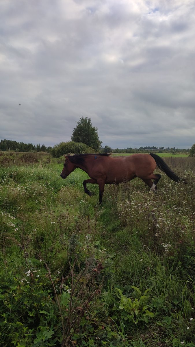 IMG-20250901-WA0134.jpeg