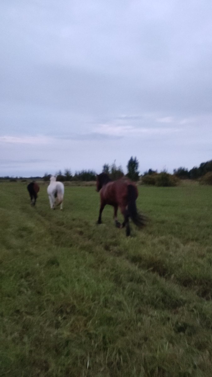 IMG-20250904-WA0023.jpeg