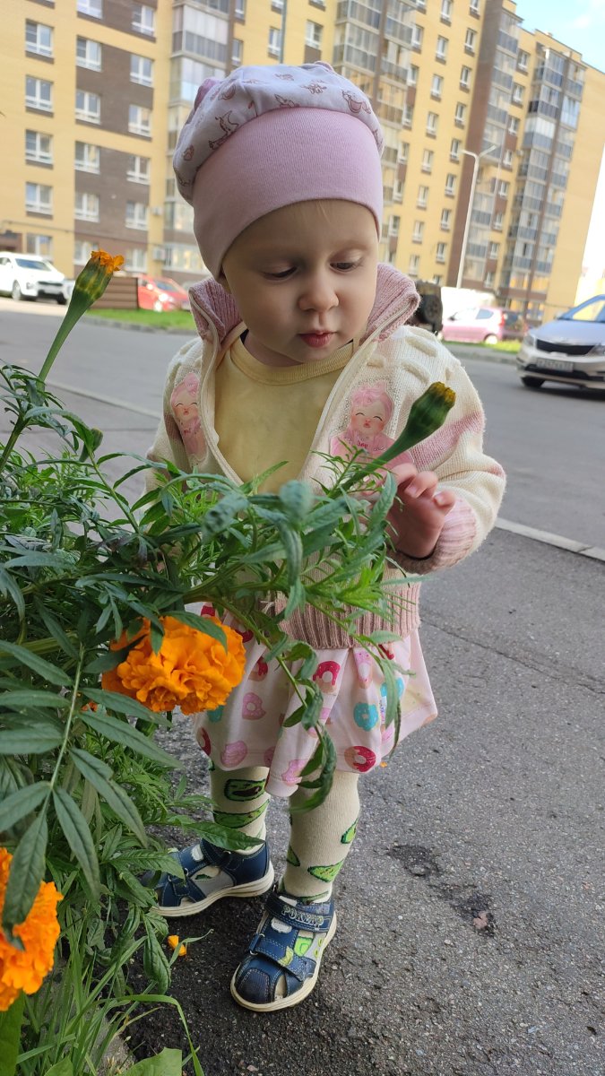 IMG-20250905-WA0019.jpeg