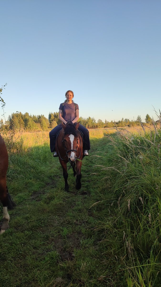 IMG-20250907-WA0049.jpeg