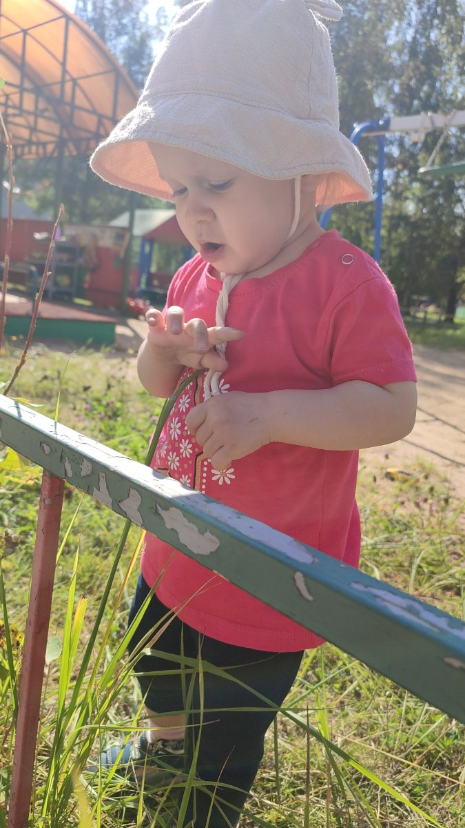 IMG-20250910-WA0027.jpeg