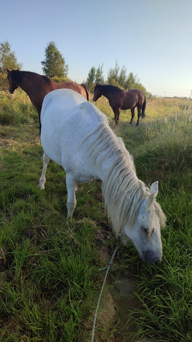 IMG-20250910-WA0061.jpeg