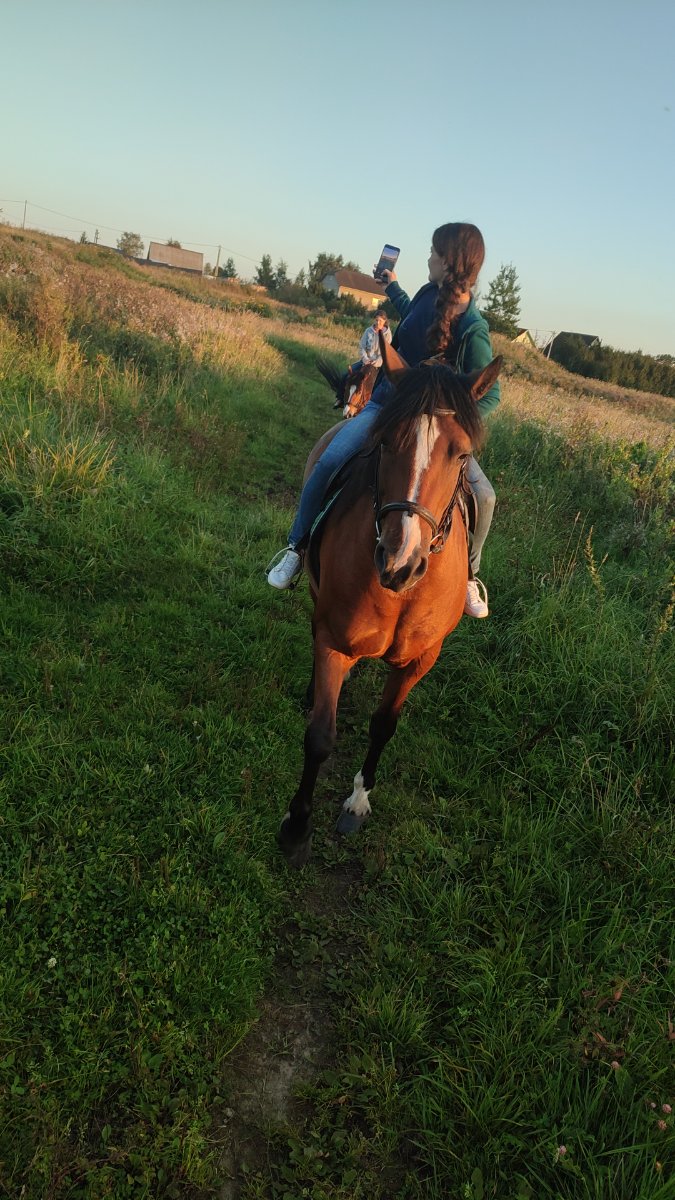 IMG-20250910-WA0068.jpeg