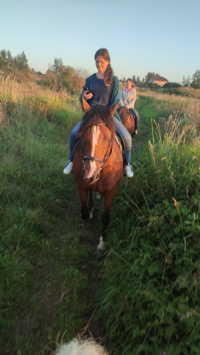IMG-20250910-WA0074.jpeg