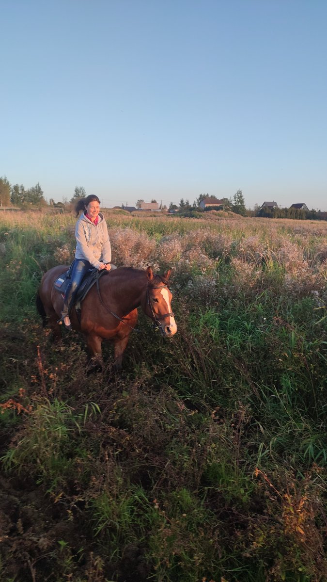 IMG-20250910-WA0080.jpeg