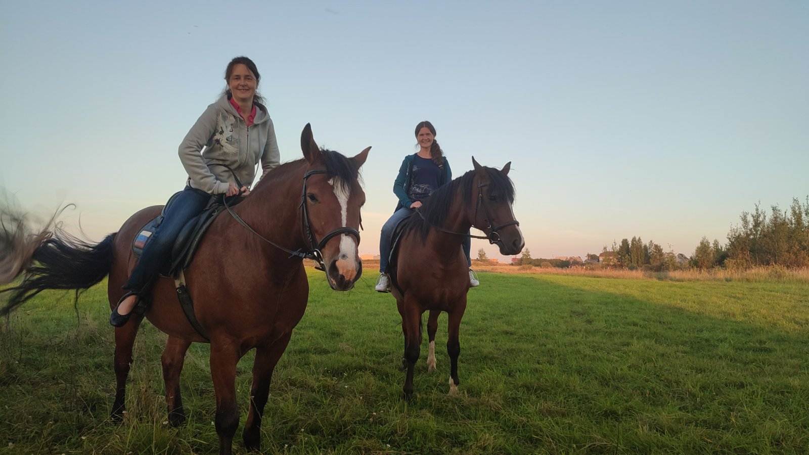 IMG-20250910-WA0094.jpeg