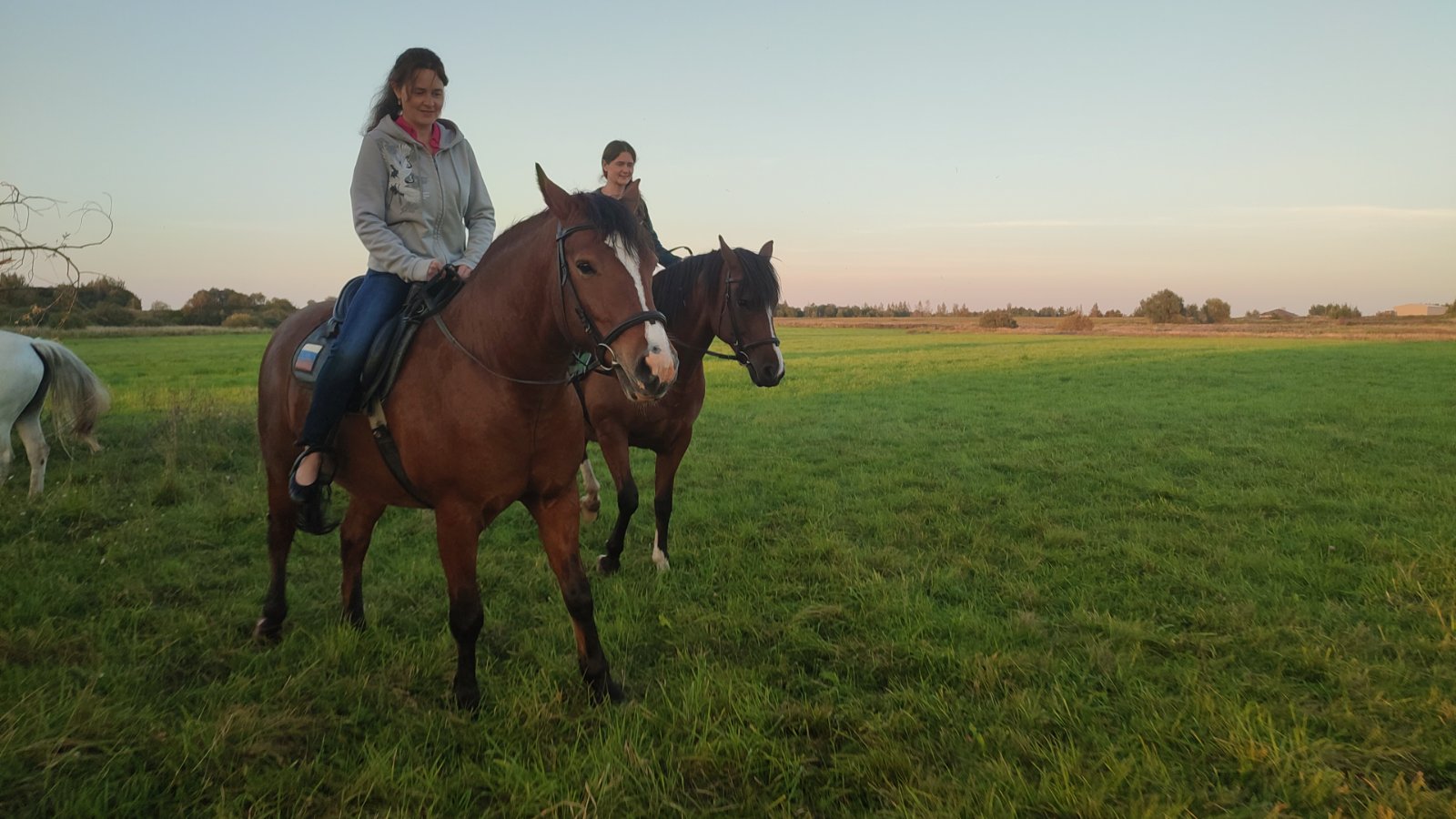 IMG-20250910-WA0100.jpeg