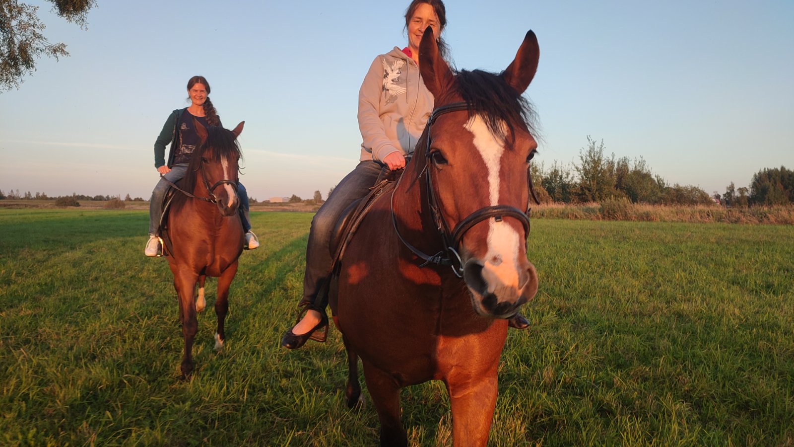 IMG-20250910-WA0106.jpeg