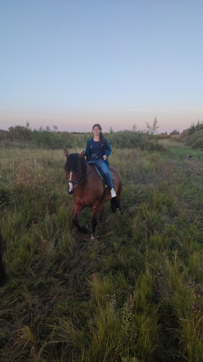 IMG-20250910-WA0120.jpeg