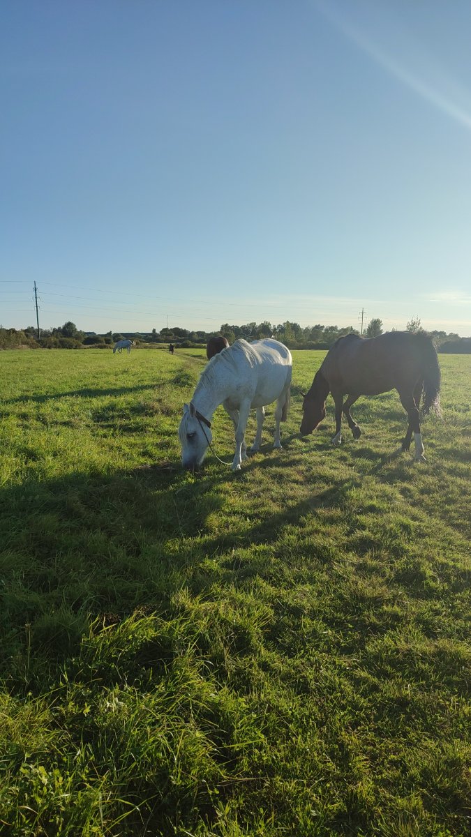 IMG-20250911-WA0002.jpeg