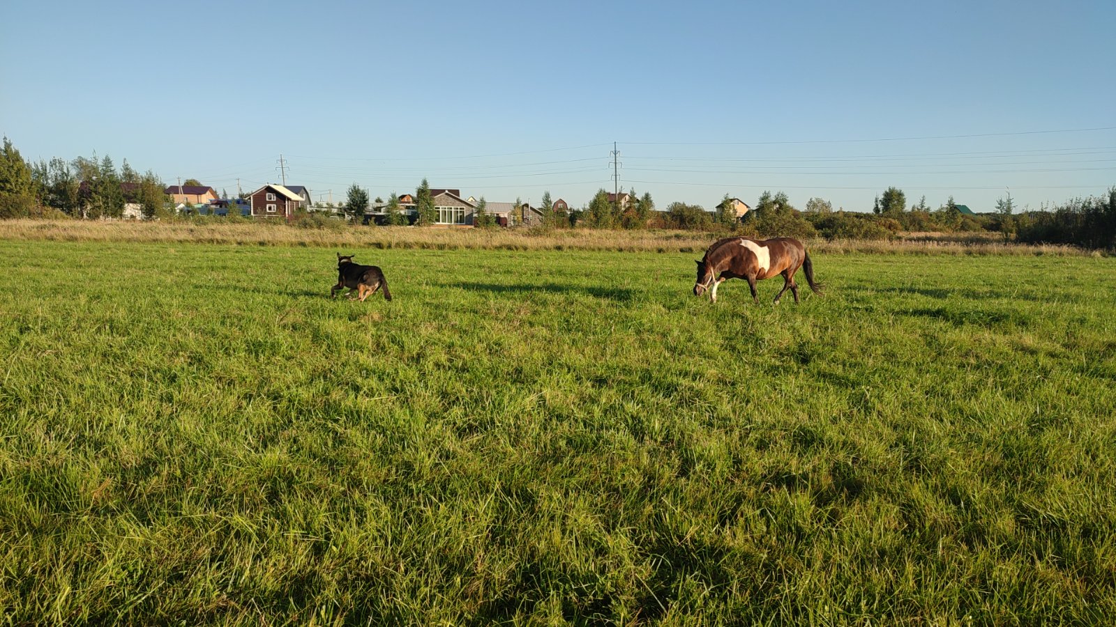 IMG-20250911-WA0008.jpeg