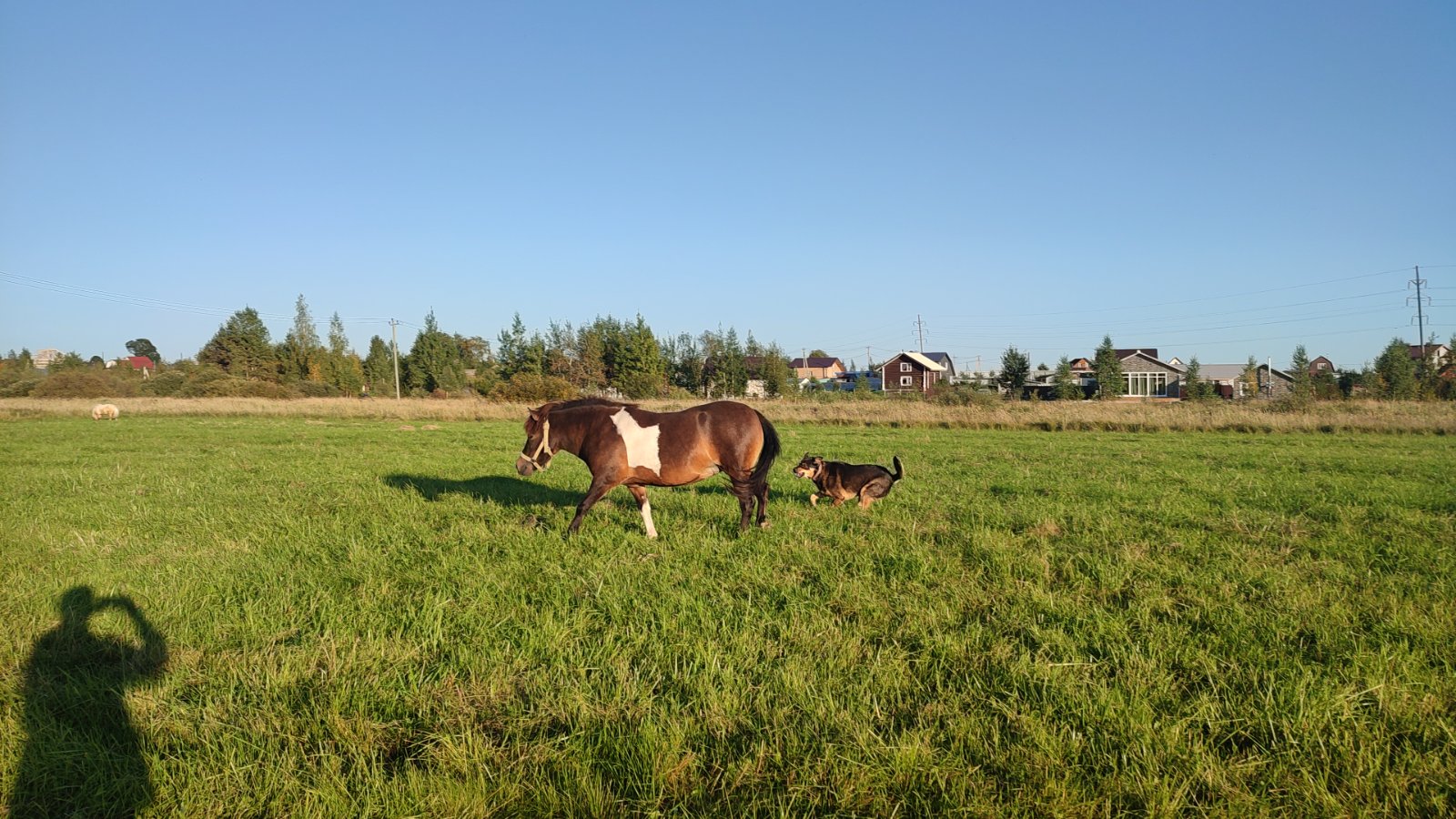 IMG-20250911-WA0010.jpeg