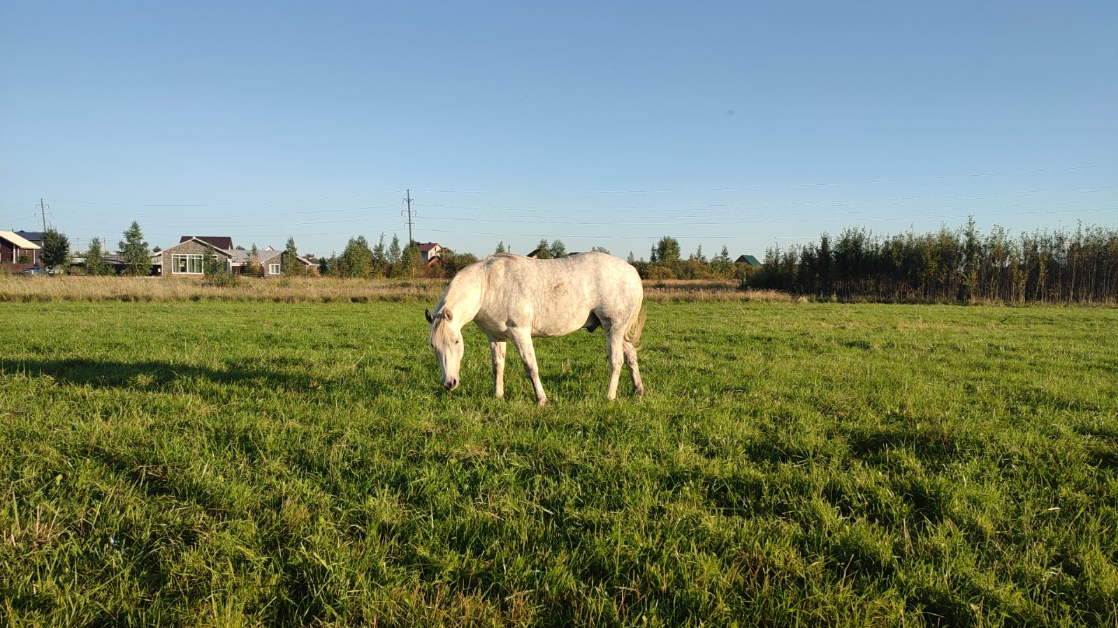 IMG-20250911-WA0012.jpeg