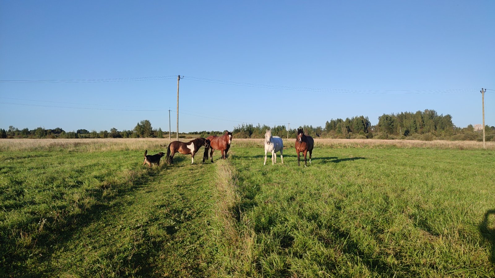 IMG-20250911-WA0017.jpeg