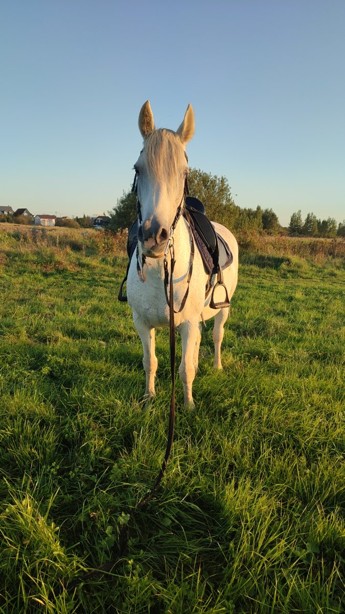 IMG-20250911-WA0019.jpeg