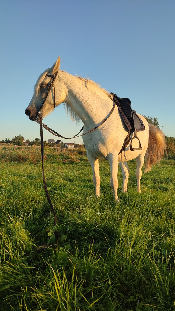 IMG-20250911-WA0023.jpeg