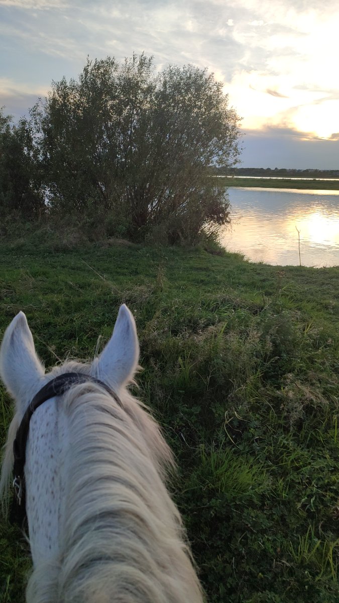 IMG-20250912-WA0086.jpeg