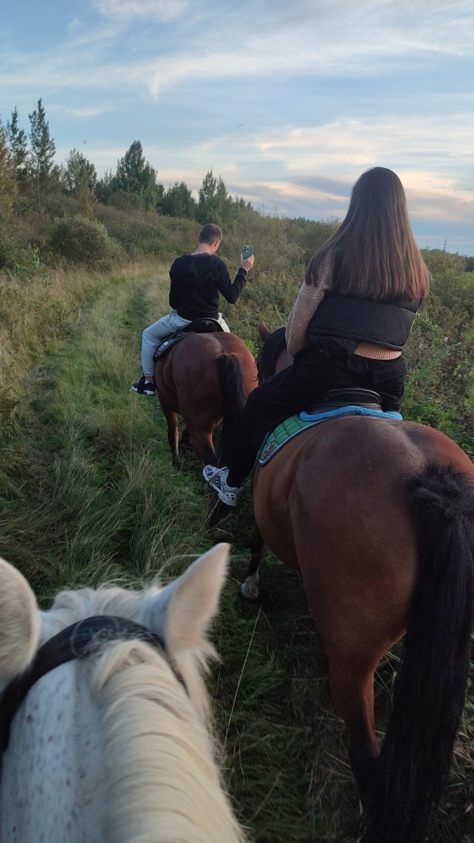IMG-20250912-WA0114.jpeg