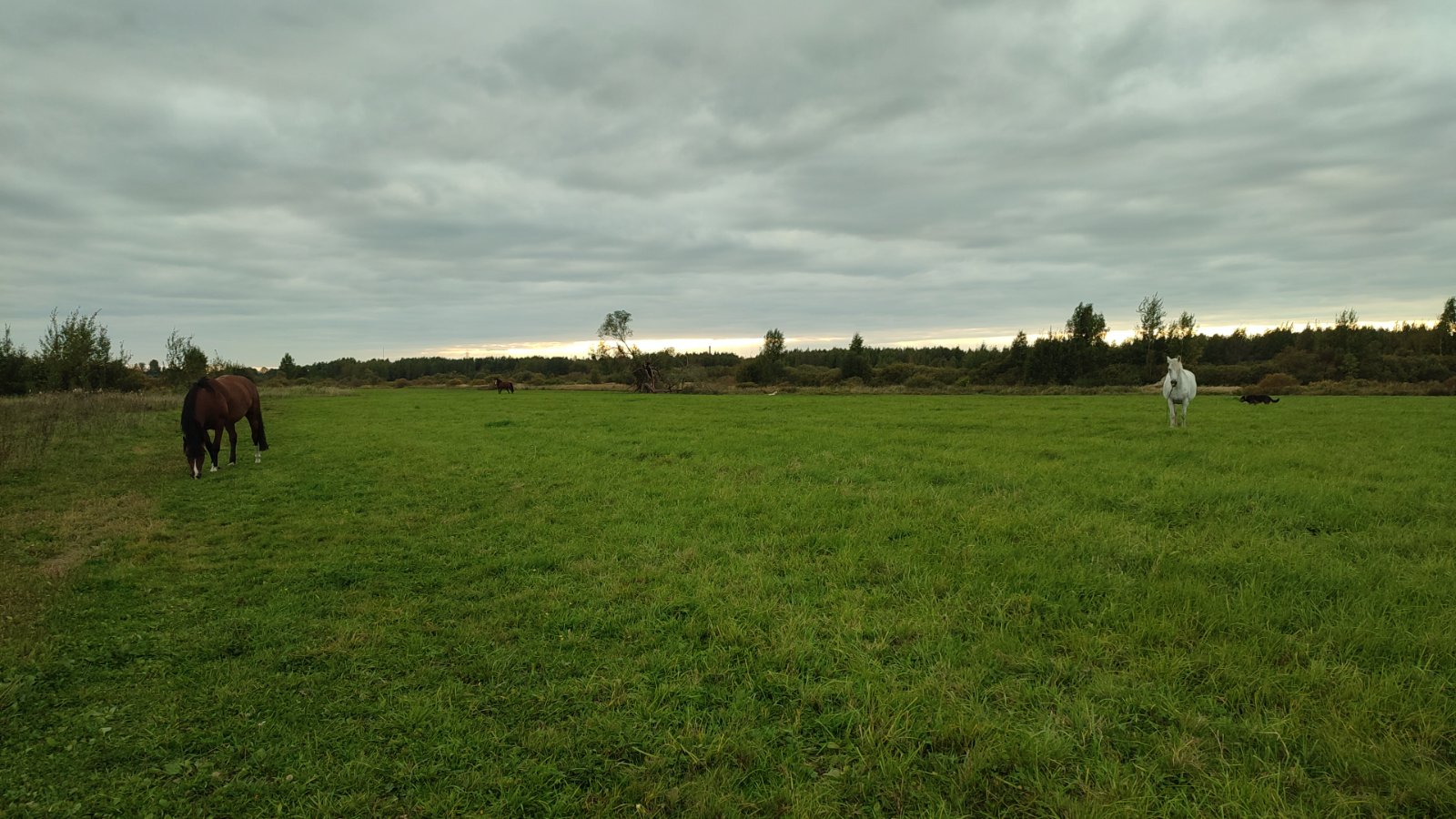 IMG-20250913-WA0017.jpeg