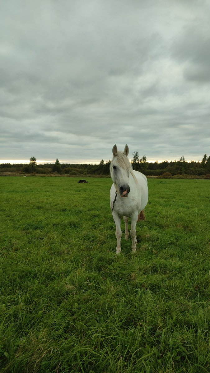 IMG-20250913-WA0021.jpeg