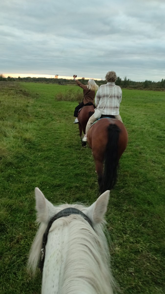 IMG-20250913-WA0033.jpeg