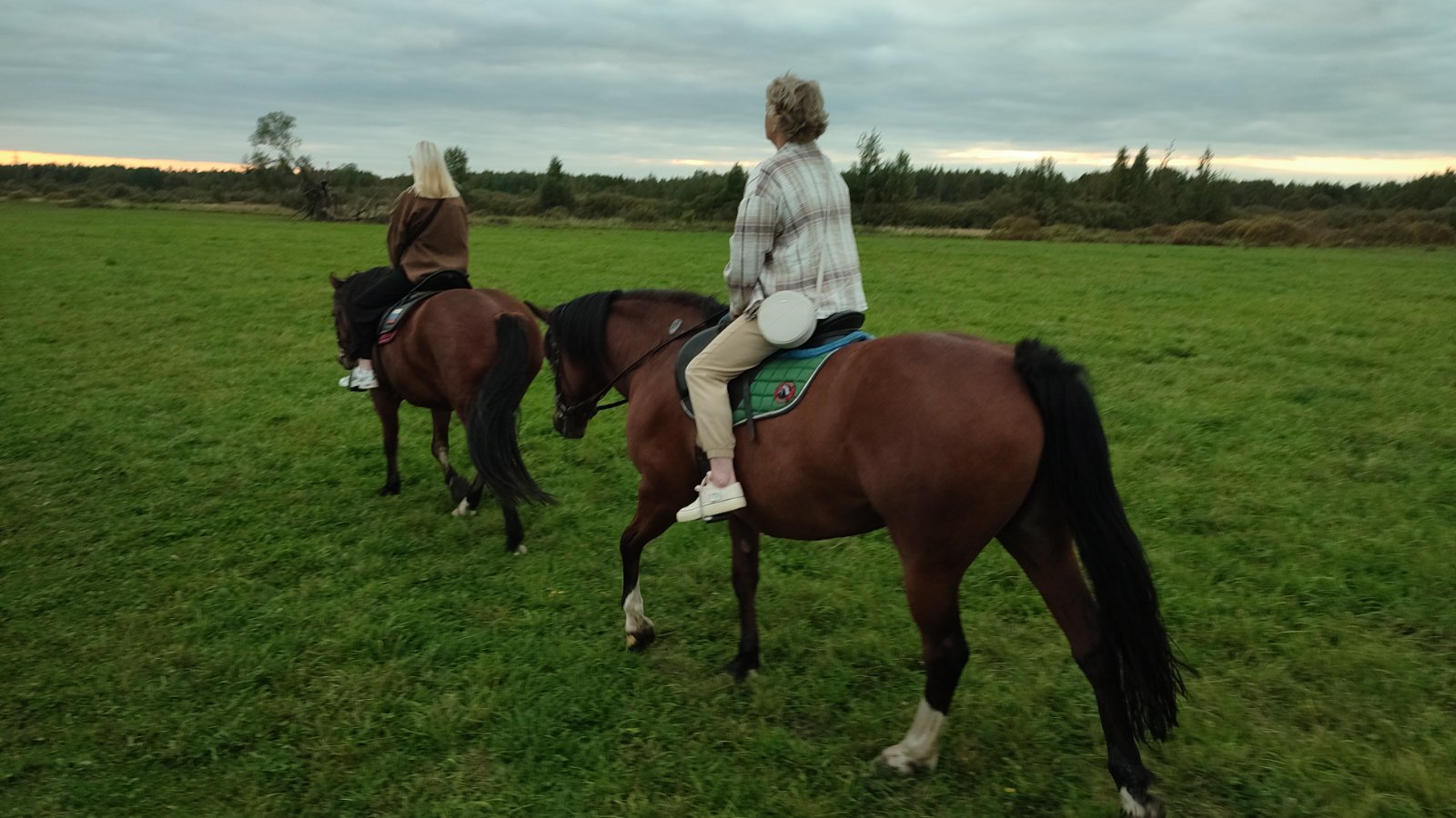 IMG-20250913-WA0036.jpeg